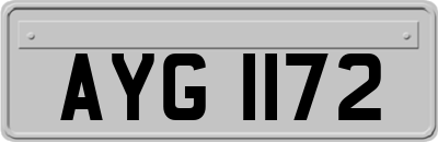 AYG1172