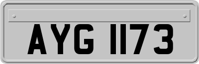 AYG1173