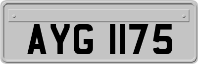 AYG1175