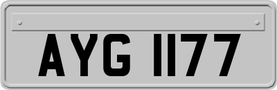 AYG1177
