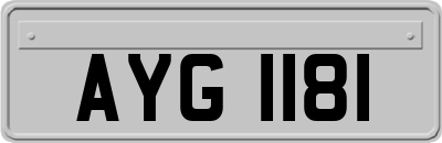 AYG1181