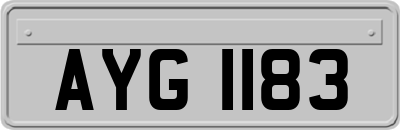 AYG1183