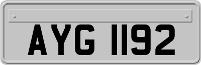AYG1192