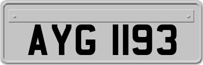 AYG1193