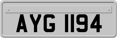 AYG1194