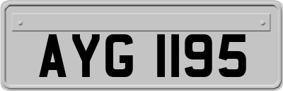 AYG1195