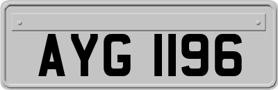 AYG1196