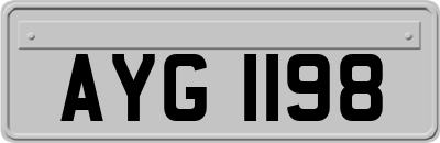 AYG1198