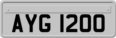 AYG1200
