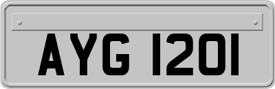 AYG1201