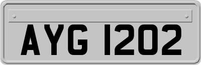 AYG1202