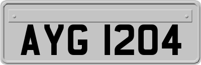 AYG1204