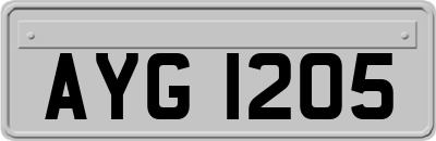 AYG1205