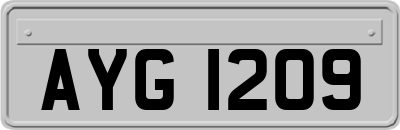 AYG1209