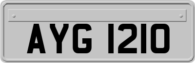 AYG1210