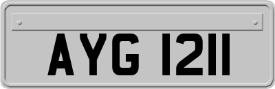AYG1211