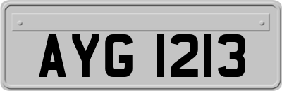 AYG1213