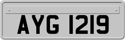 AYG1219
