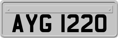 AYG1220