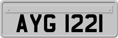 AYG1221