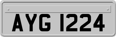 AYG1224