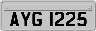 AYG1225