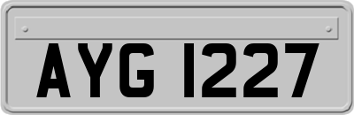 AYG1227