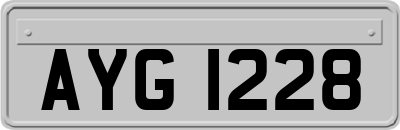 AYG1228