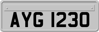 AYG1230
