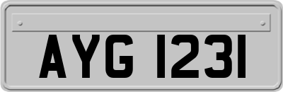 AYG1231