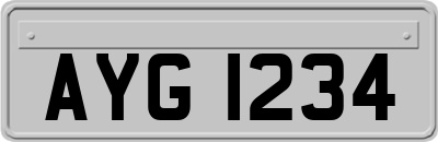 AYG1234