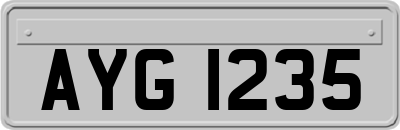 AYG1235