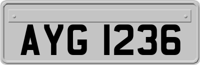 AYG1236