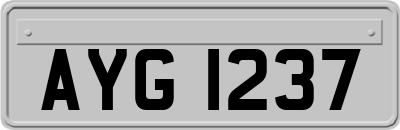 AYG1237