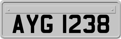 AYG1238