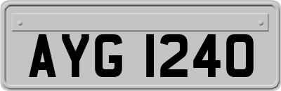 AYG1240