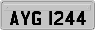 AYG1244