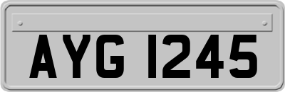 AYG1245