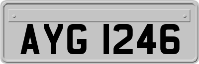 AYG1246