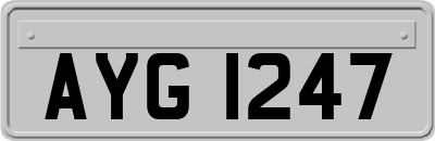 AYG1247