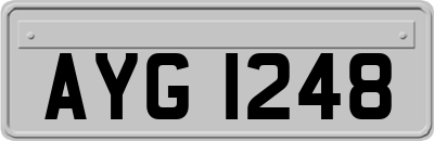 AYG1248