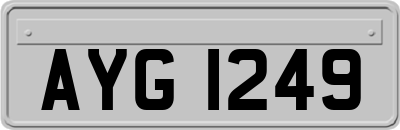 AYG1249