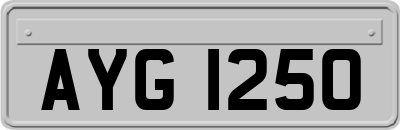 AYG1250
