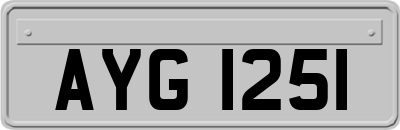 AYG1251