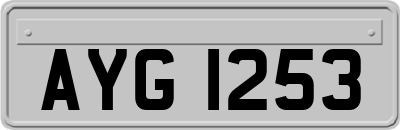 AYG1253