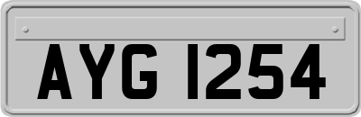 AYG1254