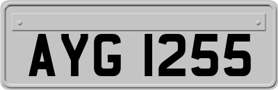 AYG1255