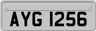AYG1256