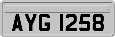 AYG1258