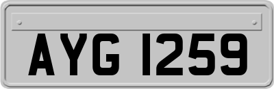 AYG1259